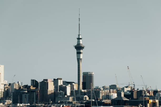 istock Auckland City harbour Skyline 1360075948
