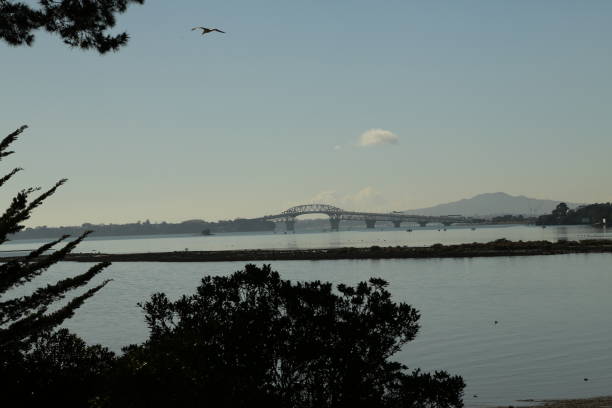 View of Auckland bridge and Rangitoto Island. View of Auckland bridge and Rangitoto Island.  Taken at Point Chevalier in Auckland, New Zealand. rangitoto island stock pictures, royalty-free photos & images