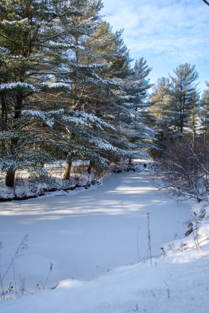 istock Winter landscape around a  little river 1360079170