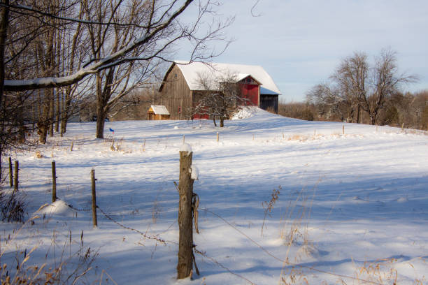 istock Winter landsacape on the countryside 1360079397