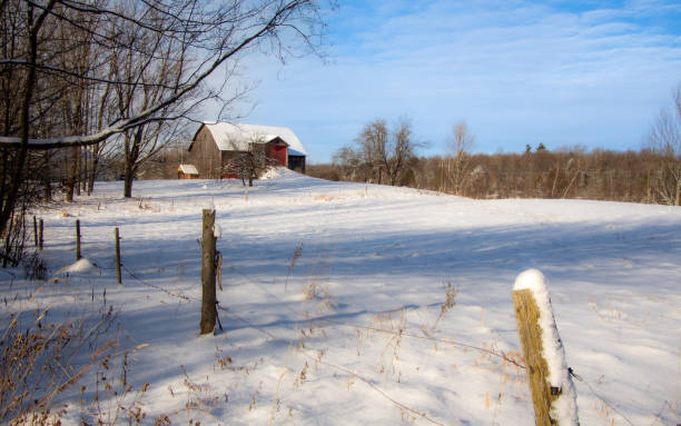 istock Winter landsacape on the countryside 1360079420