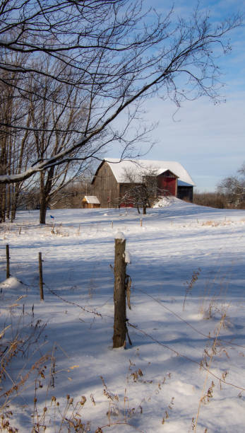 istock Winter landsacape on the countryside 1360079433