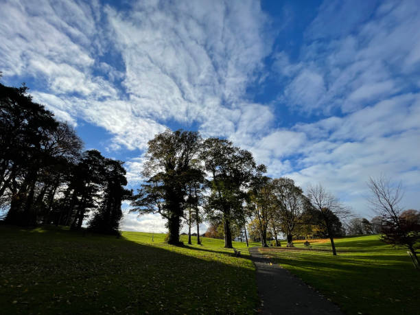 istock Cloudy blue sky with sun spells over a green park in autumn 1360083254