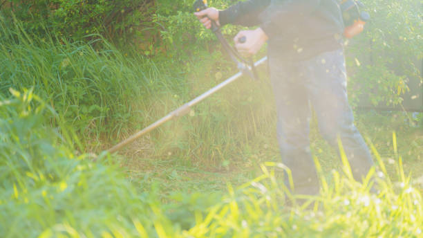 istock man mows grass with trimmer, focus on foreground blurred background 1360090083