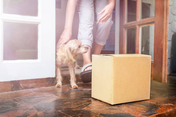 A girl with a dog went out for the parcel
