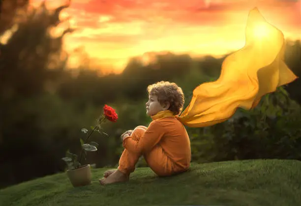 Photo of A little boy, a prince, sits with a rose flower at sunset