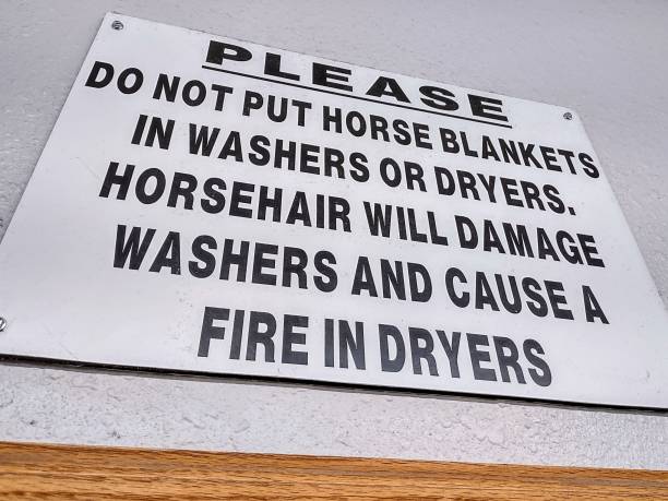 istock Horse hair 1360120159