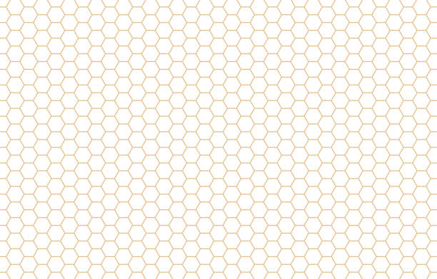 kuvapankkikuvitukset aiheesta hunaja kuusio mehiläispesä hunajakenno kuvio saumaton kultainen ruudukko ja valkoinen tausta vektori - beeswax