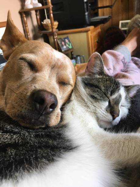 istock Snug as a couple of Bugs 1360135017