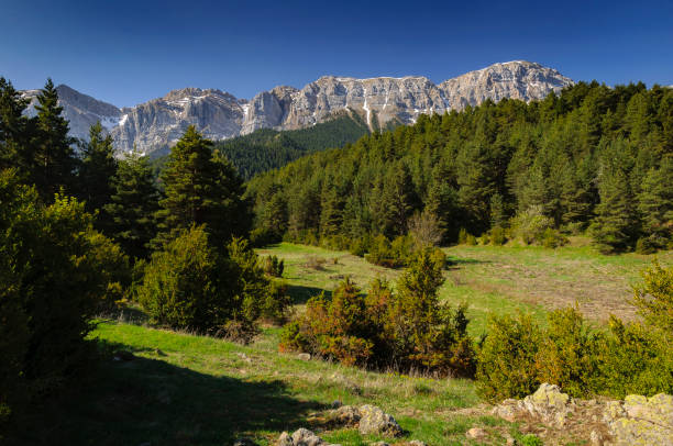 Serra de Cadí seen from the path from Estana village to Prat de Cadí meadow (Cerdanya, Catalonia, Spain, Pyrenees) stock photo