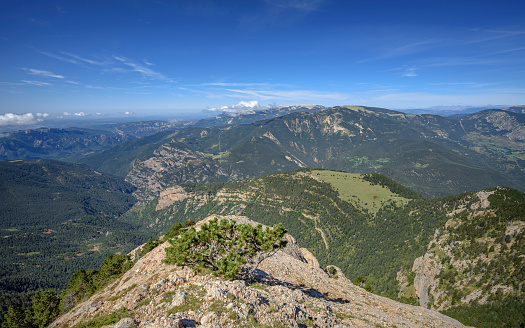 ENG: Views from near Cap de la Gallina Pelada summit, looking towards the Port del Comte range  (Berguedà, Catalonia, Spain, Pyrenees)\nESP: Vistas desde cerca del Cap de la Gallina Pelada, mirando la sierra del Port del Comte (Berguedà, Cataluña, España, Pirineos)\nFR: Vues de près de Cap de la Gallina Pelada, regardant le massif du Port del Comte (Berguedà, Catalogne, Espagne, Pyrénées)\nCAT: Vistes des de prop del Cap de la Gallina Pelada, mirant cap al Port del Comte (Alt Berguedà, Catalunya)