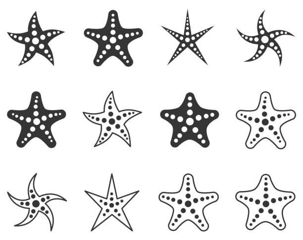 illustrazioni stock, clip art, cartoni animati e icone di tendenza di set di icone starfish - sea star