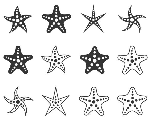 zestaw ikon rozgwiazdy - sea star stock illustrations