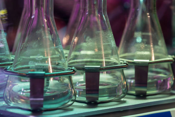 Close-up on Erlenmeyer flasks in metallic holders, liquid at the bottom, condensation on inner flask walls, irrigation system in vertical garden