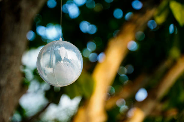 Hanging glass christmas balls feather on bukeh light blured, tree decortive on branches, transparent crystal in Xmas holiday celebration decoration.