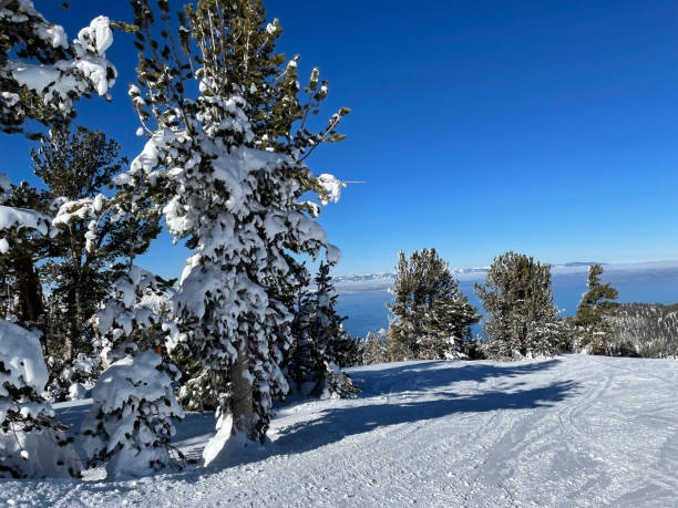 istock Lake Tahoe winter scene mountain 1360139829