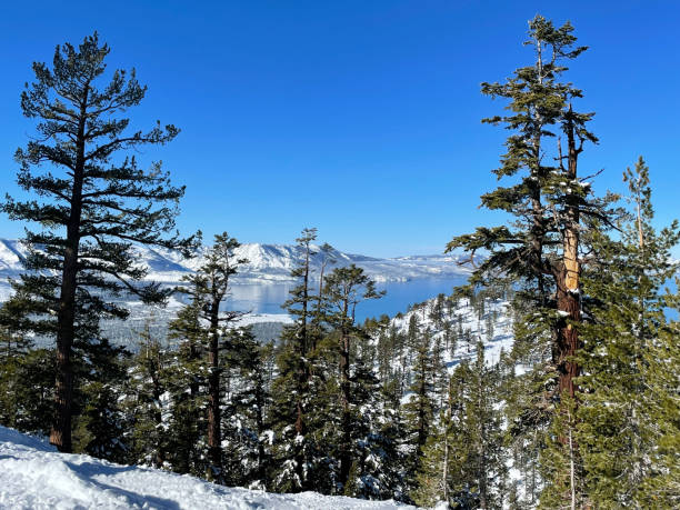 istock Lake Tahoe winter scene mountain 1360141225