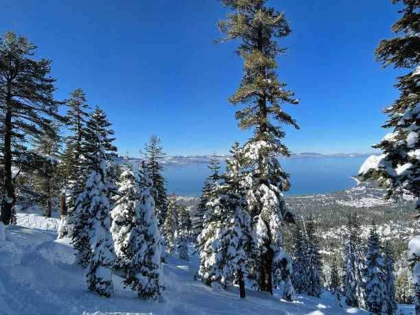 istock Lake Tahoe winter scene mountain 1360142205