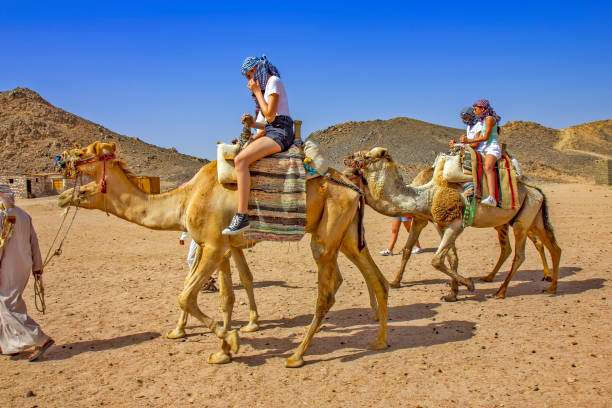 ragazze che cavalcano il cammello nel deserto egiziano - camel back foto e immagini stock