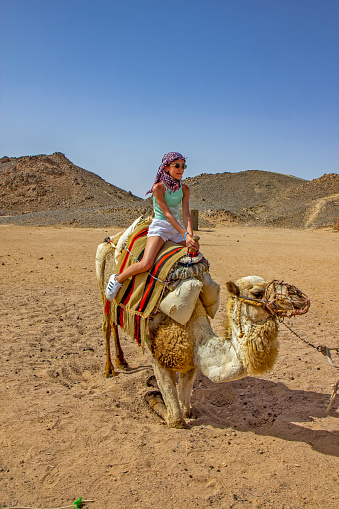 Girl riding camel in the Egyptian desert