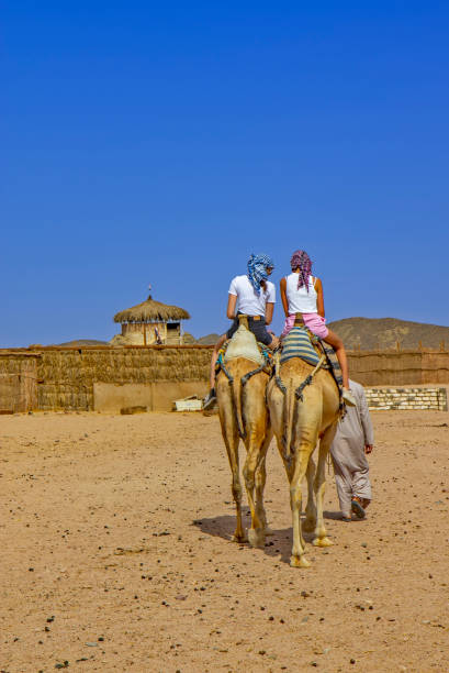 エジプトの砂漠でラクダに乗っている女の子 - two humped camel ストックフォトと画像