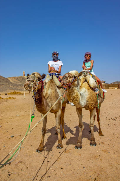 Girls riding camel in the Egyptian desert