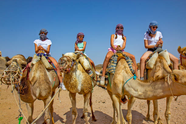 chicas montando camello en el desierto egipcio - journey camel travel desert fotografías e imágenes de stock