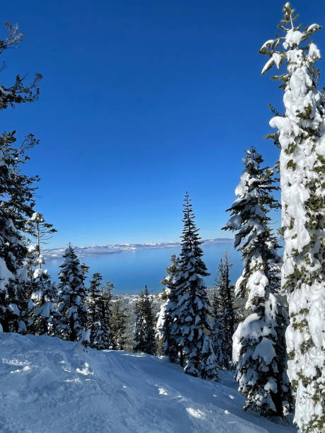 istock Lake Tahoe winter scene mountain 1360144838