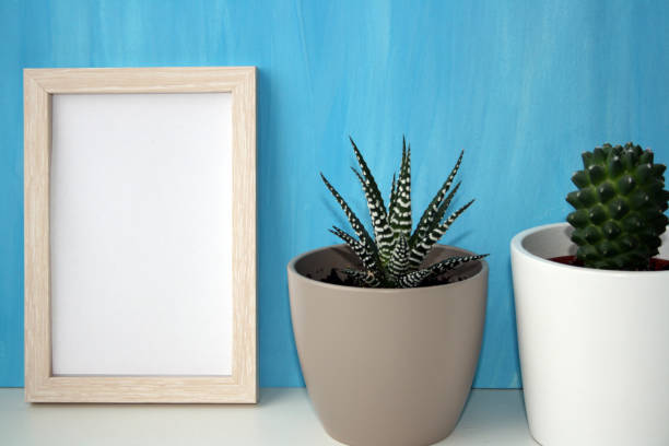 istock Mockup frame and plant in a pot by a blue wall. 1360144853