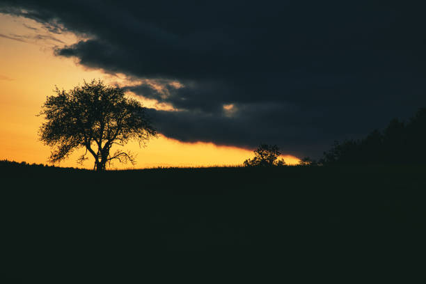 istock Sunset in Saarland with a tree against which a ladder is leaning. dramatic sky . 1360146167