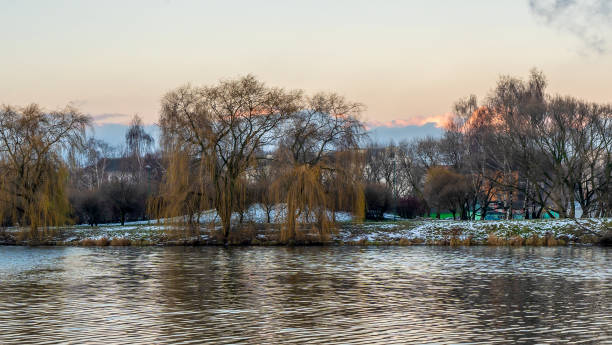 istock Bare branches of trees against the dramatic cloudy sky. Nature conservation. 1360146274