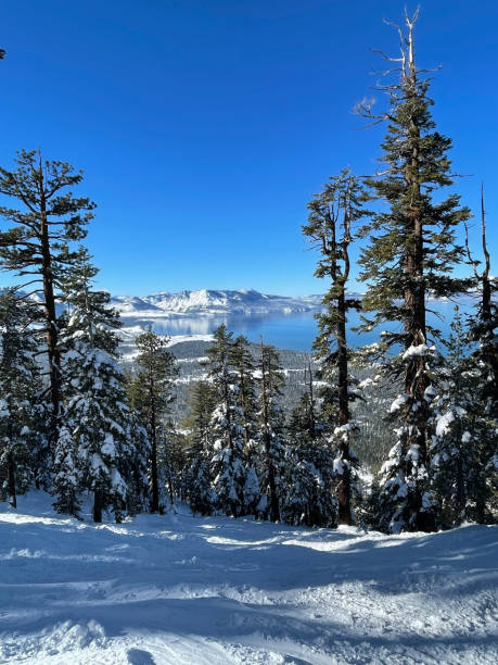 istock Lake Tahoe winter scene mountain 1360146323
