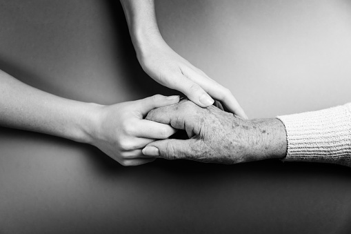 Hands of a young woman hold the wrinkled hand of an elderly grandmother. Monochrome. Flat lay. The concept of International Day of Older Persons.