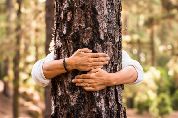 istock Midsection Of Man Holding Tree Trunk In Forest 1360149126
