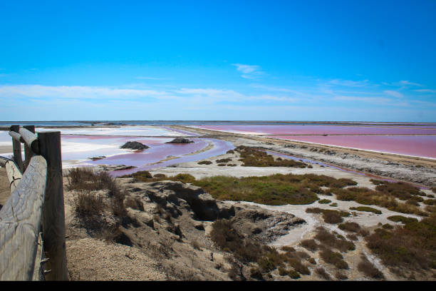 The Salin-de-Giraud salt farm. A salt evaporation pond. It's located on the Camargue region. The pink color is due to variable algal concentrations.  alga Dunaliella salina. purple salt sea