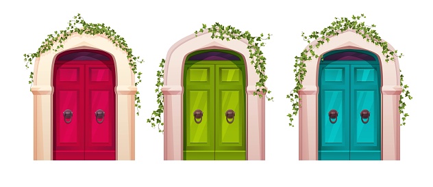 Wooden door with arch and ivy plant. Entrance, gate in a castle, church or house.