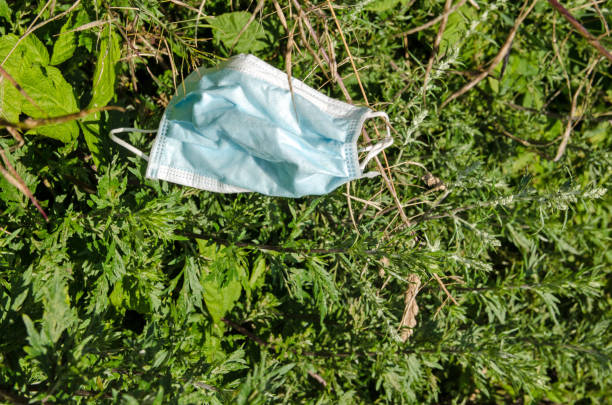 Facemask trapped in hedgerow stock photo