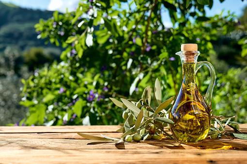 Extra virgin olive oil and olive branch in the bottle on wooden table in the olive grove. Healthy mediterranean food.