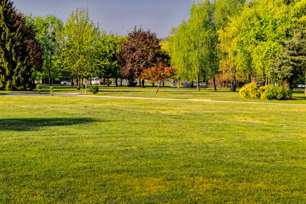 istock Park greenery and mown lawn. 1360160454