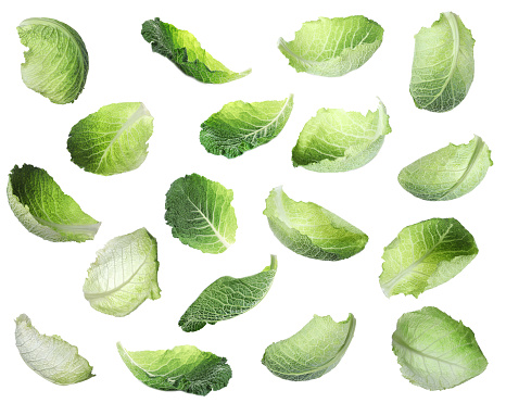 Fresh Savoy cabbage leaves falling on white background