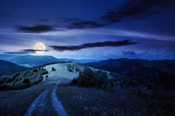 istock road through meadow in mountains at night 1360172184