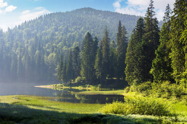 istock landscape with calm lake in summer 1360172358