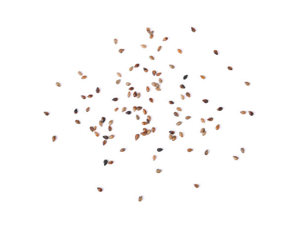 Black sesame seeds isolated on white background. Top view