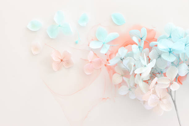 Creative image of pastel blue and pink Hydrangea flowers on artistic ink background. Top view with copy space