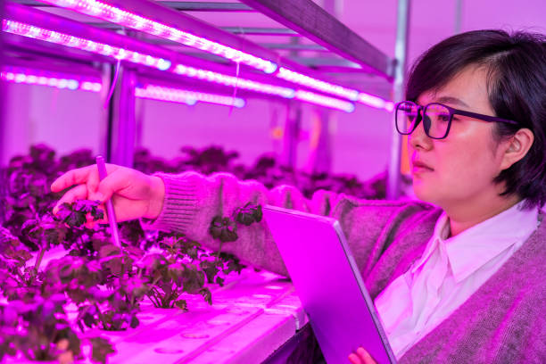 istock Young woman working check the organic vegetable 1360175980