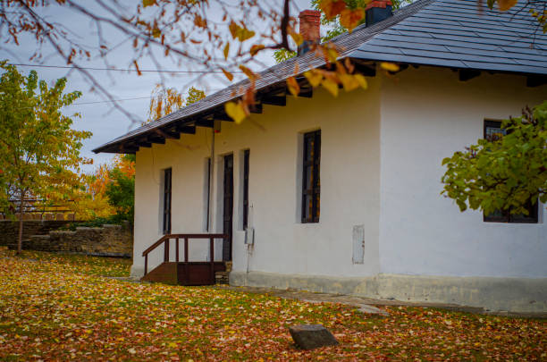 old Romanian house in autumn colors, Mihai Eminescu Botosani, Romania