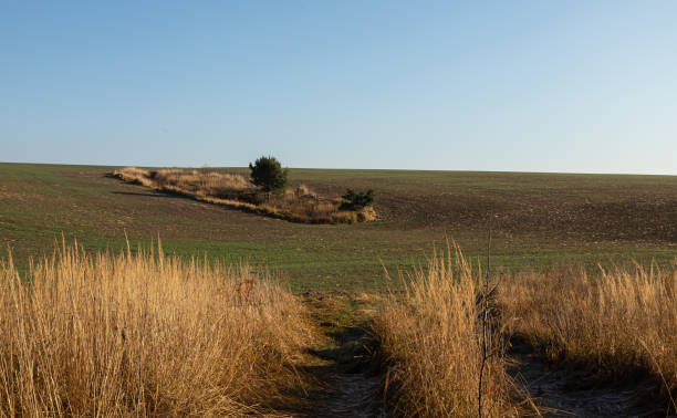 istock autumn landscape at the sunset with copy space 1360181567