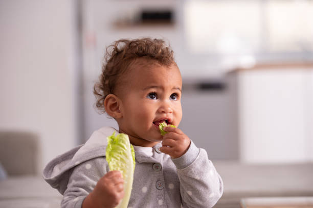 istock Baby eating salad leaf. 1360181811