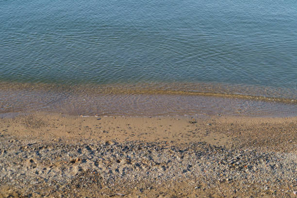 istock Natural background with a sea wave on a sandy beach 1360182146