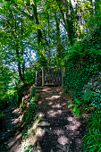 rocky-valley-tintagel-cornwall.jpg?b=1&s=170x170&k=20&c=5L8W7NclWikAoHKKB6FjdTfxDPpwHguKWGA3EPUKAOI=